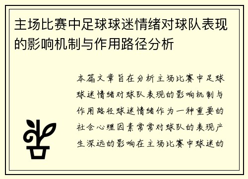 主场比赛中足球球迷情绪对球队表现的影响机制与作用路径分析