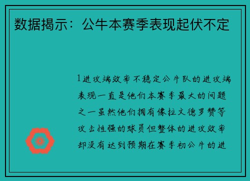 数据揭示：公牛本赛季表现起伏不定